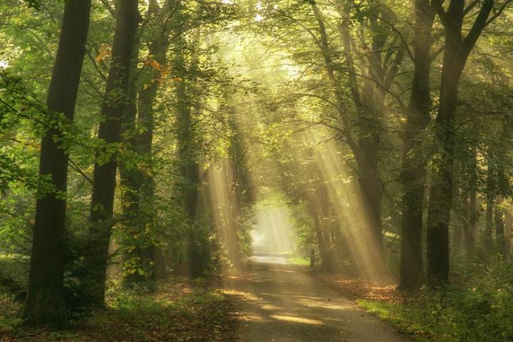 De Hoogt Maarn 2015 18