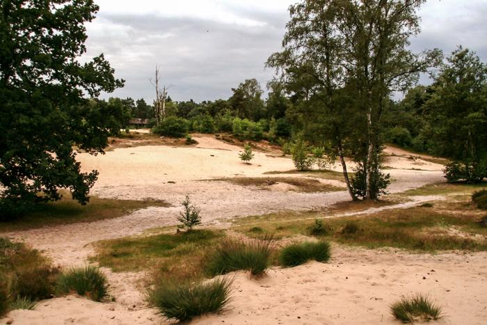 Koeheuvels Maarn 021