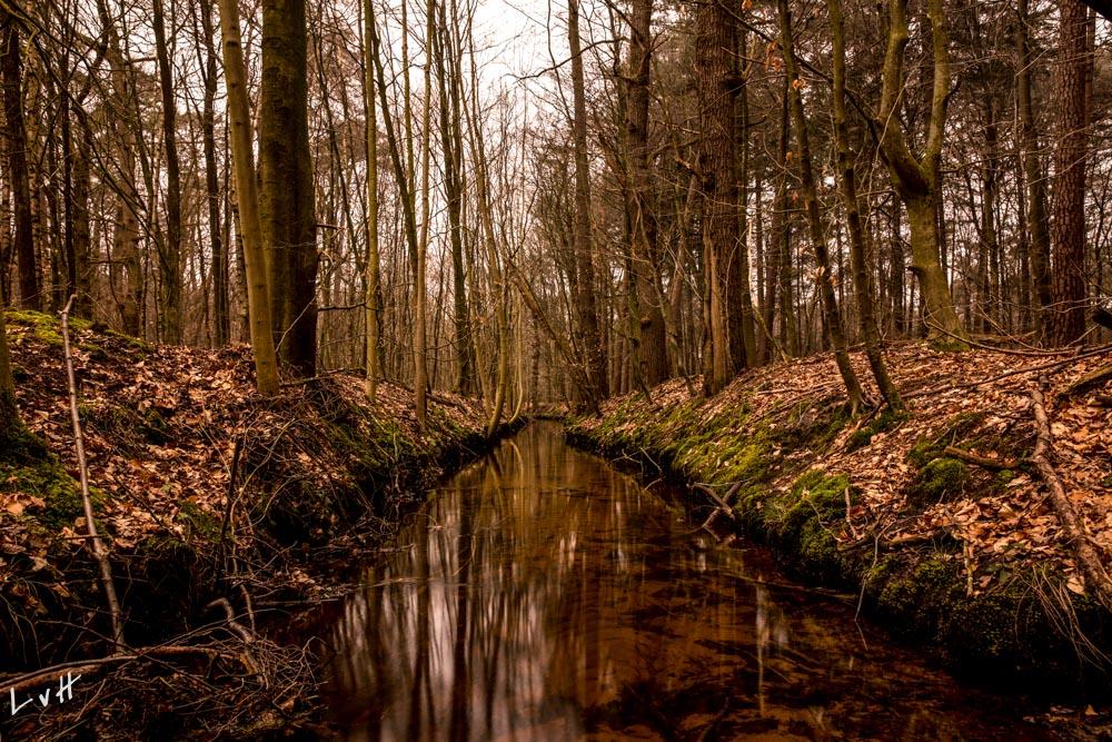 2019 Leuvenumse Beek-13