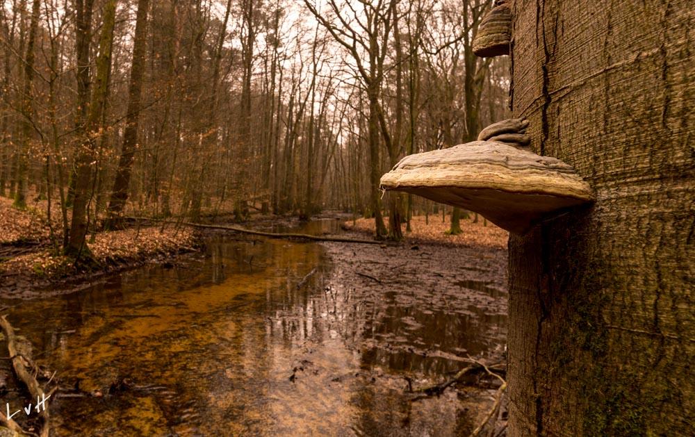 2019 Leuvenumse Beek-14