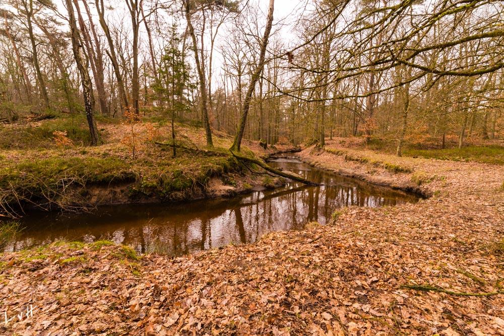 Hulshorsterzand 2018 5