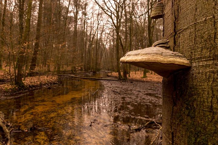 2019 Leuvenumse Beek-14