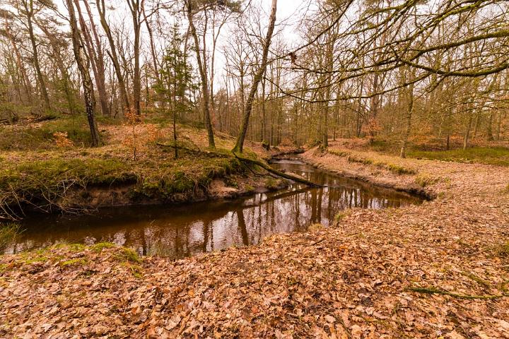 Hulshorsterzand 2018 5