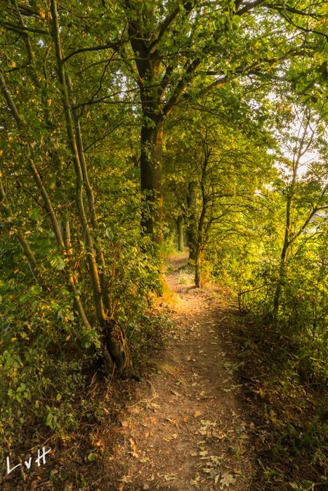 Anderstein Maarn 2015 04