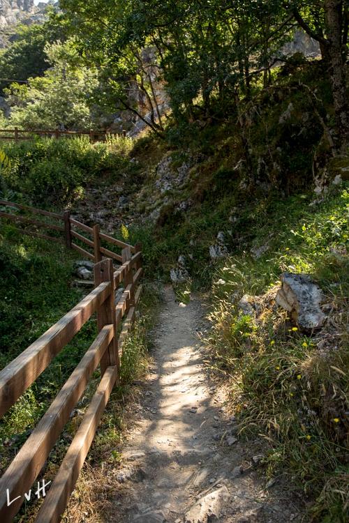 Asturië Spanje 2015  015