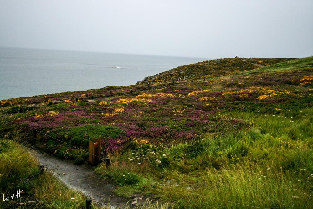 Bretagne Cap Frehel  Frankrijk 2012-9