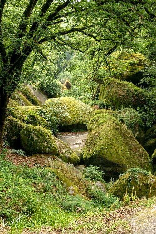 Bretagne Huelgoat Frankrijk 2012-24