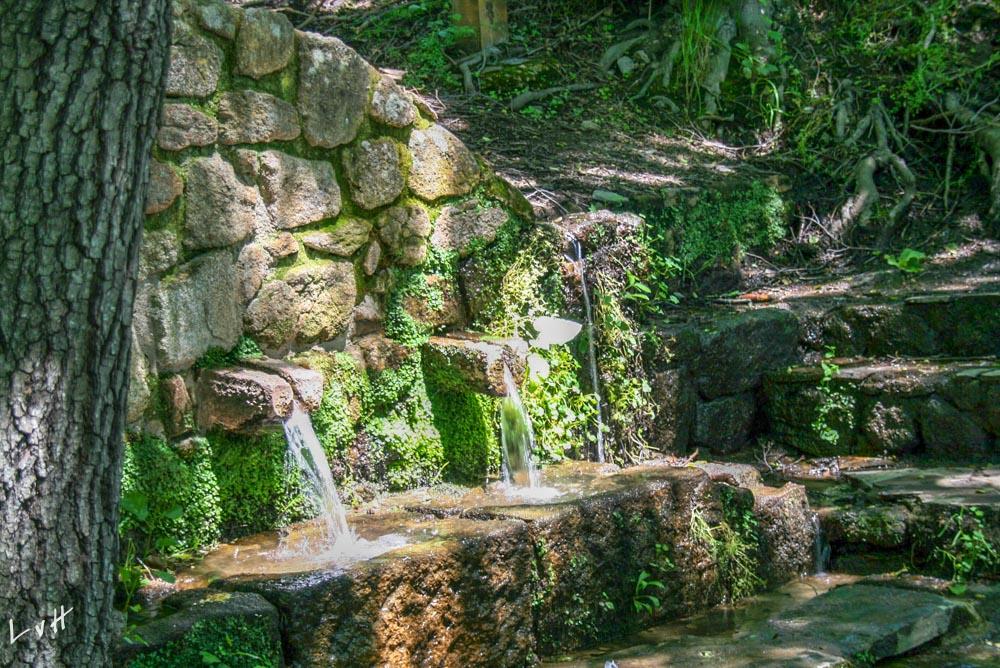 Cabaneros Spanje 2010 088