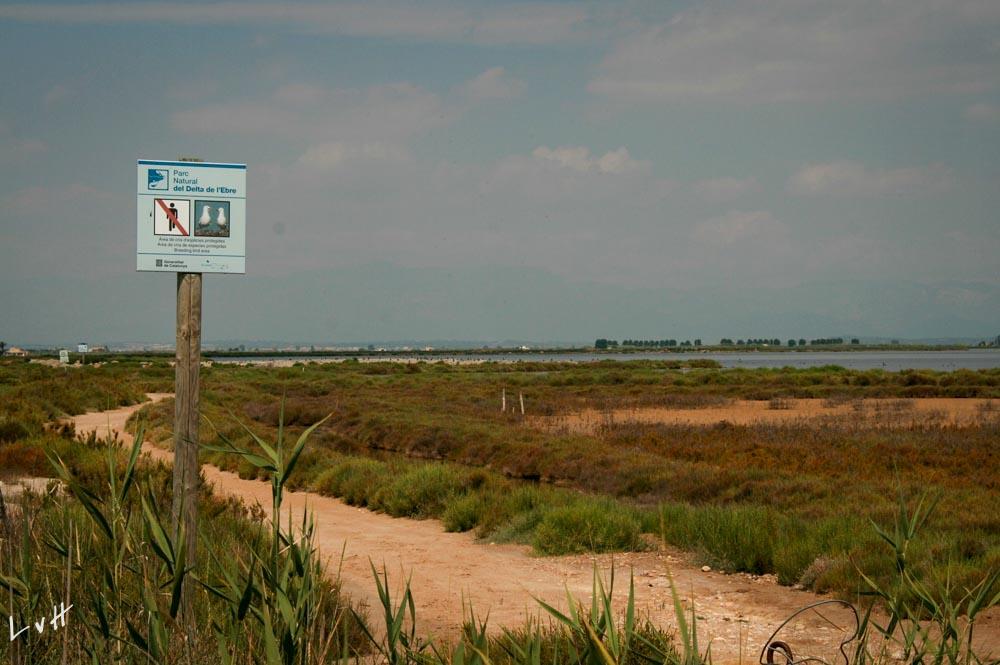 Delta Spanje 2011 016