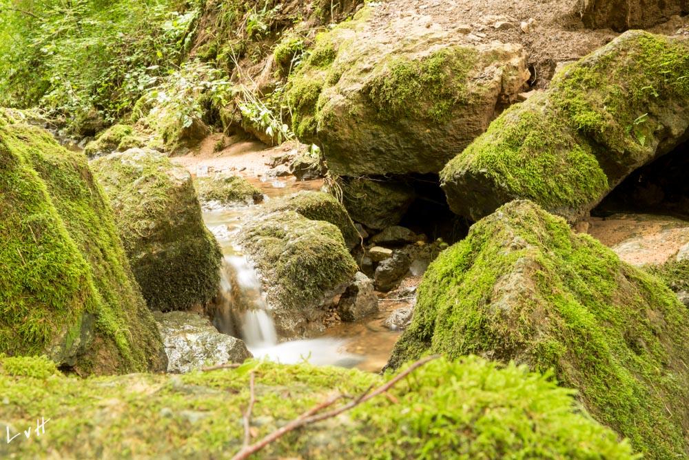 Eifel Duitsland 2015 960