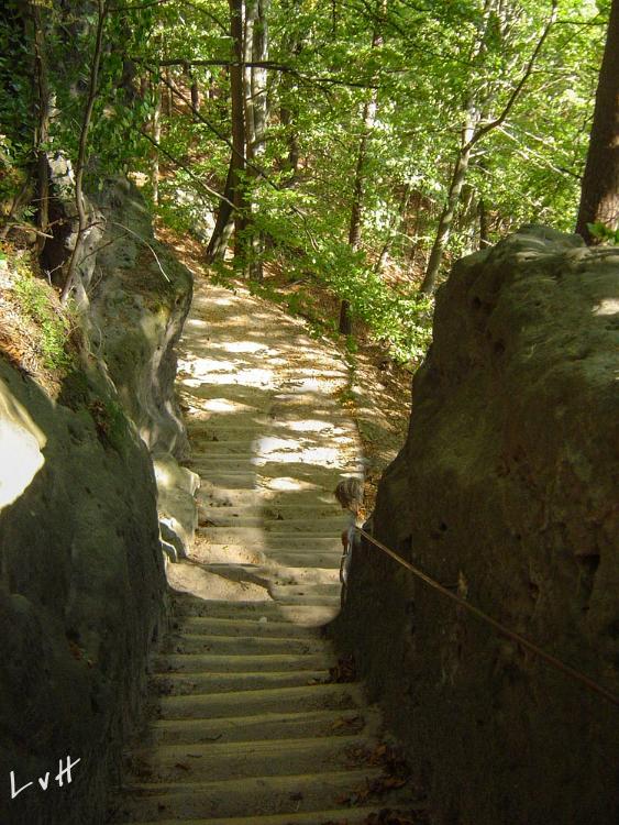 Ertsgebergte Tsjechië 2007 046