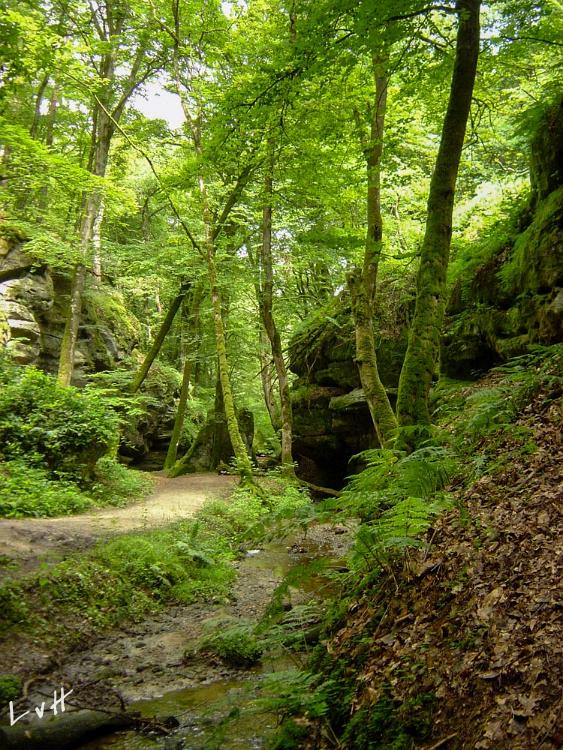 Langs de Moezel Duitsland 2007 027