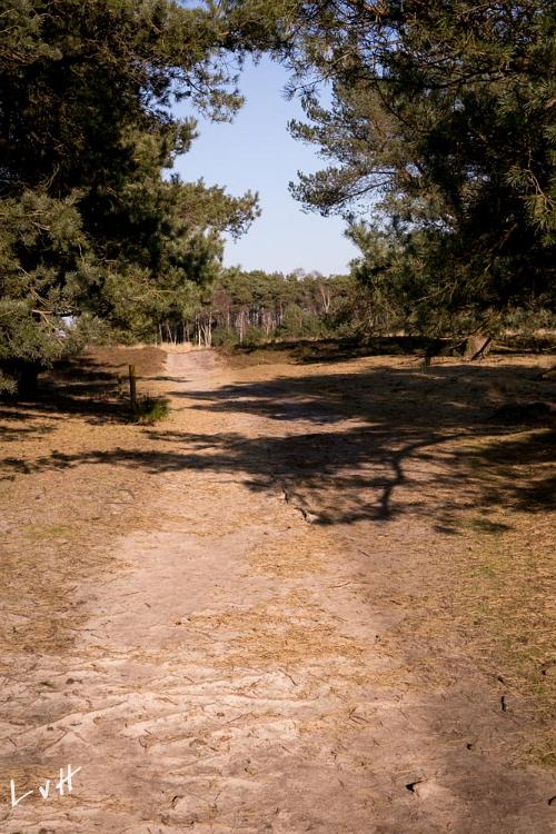 Leersums veld 2016 749