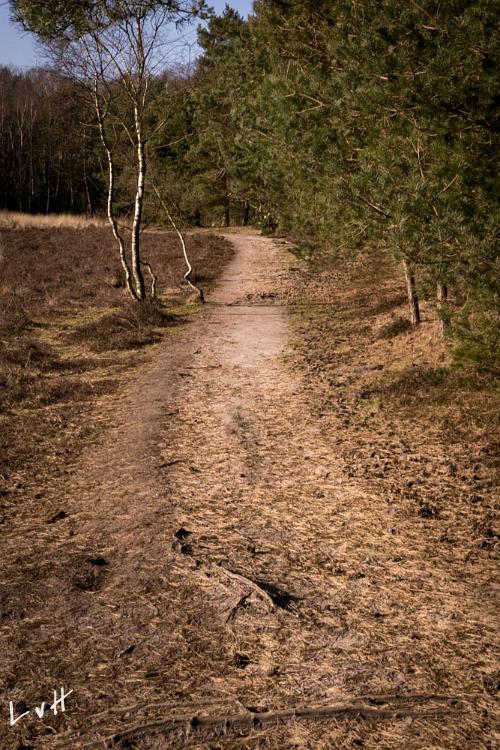 Leersums veld 2016 751