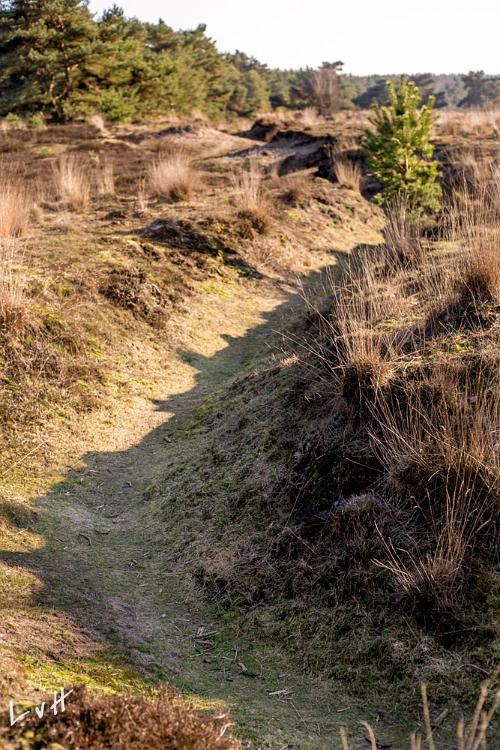 Leersums veld 2016-48