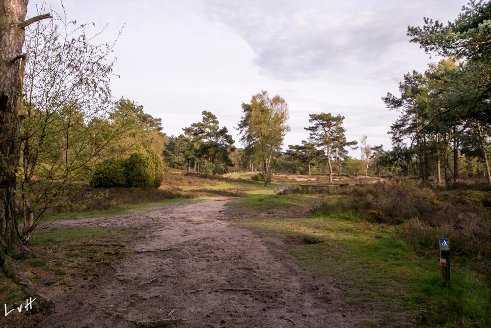 Maarn Koeheuvels 2016-31