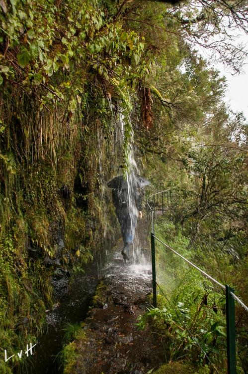 Madeira 2011 033