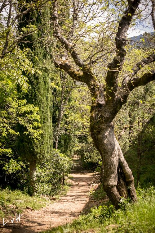 Sierra Francia 2016-3532