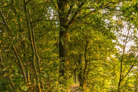 Anderstein Maarn 2015 04