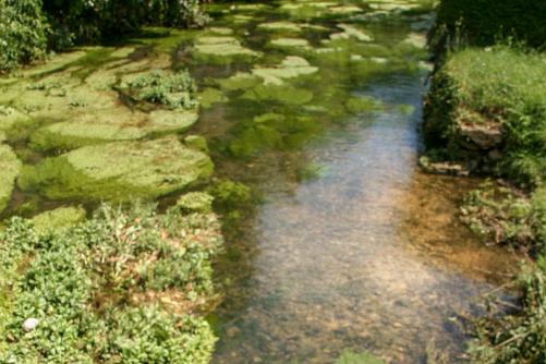 Beaune Bourgogne Frankrijk 2010 037