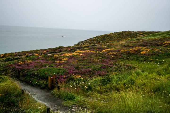 Bretagne Cap Frehel Frankrijk 2012-9