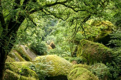 Bretagne Huelgoat Frankrijk 2012-24