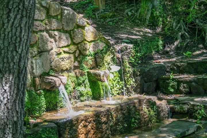 Cabaneros Spanje 2010 088