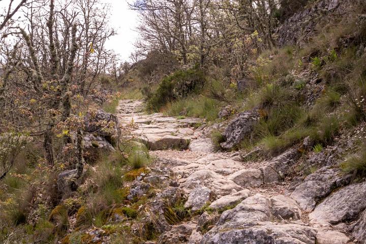 Candelario 2016-3597