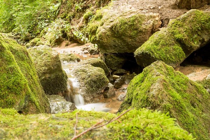 Eifel Duitsland 2015 960