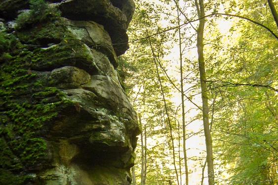 Ertsgebergte Tsjechië 2007 019