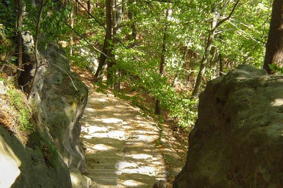 Ertsgebergte Tsjechië 2007 046