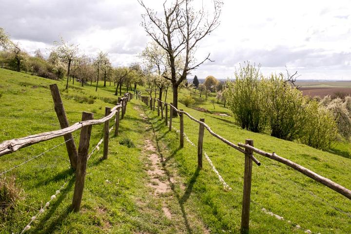 Haspengouw België 2016-3184