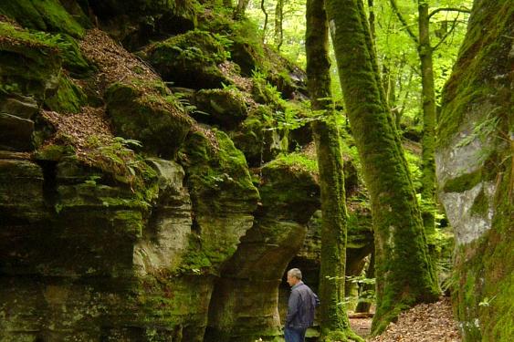 Langs de Moezel Duitsland 2007 024