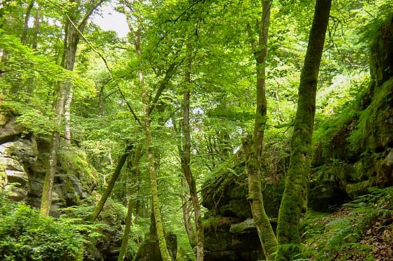 Langs de Moezel Duitsland 2007 027