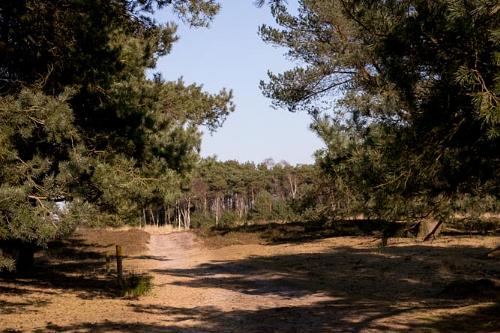 Leersums veld 2016 749