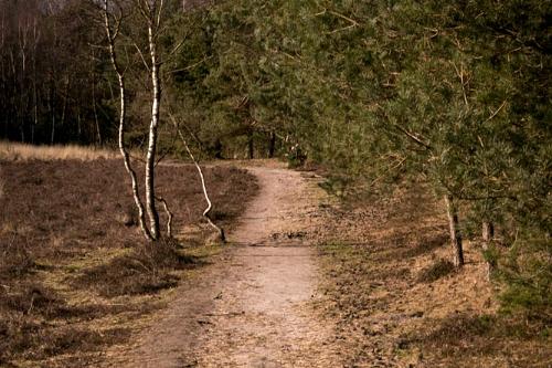 Leersums veld 2016 751