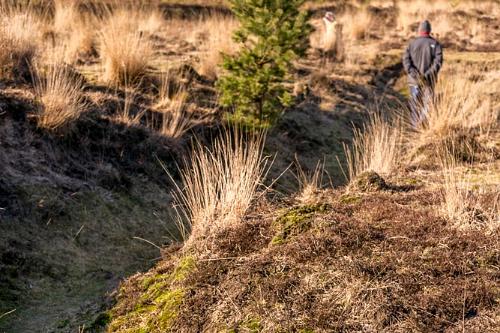 Leersums veld 2016-47