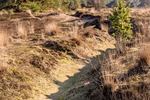 Leersums veld 2016-48