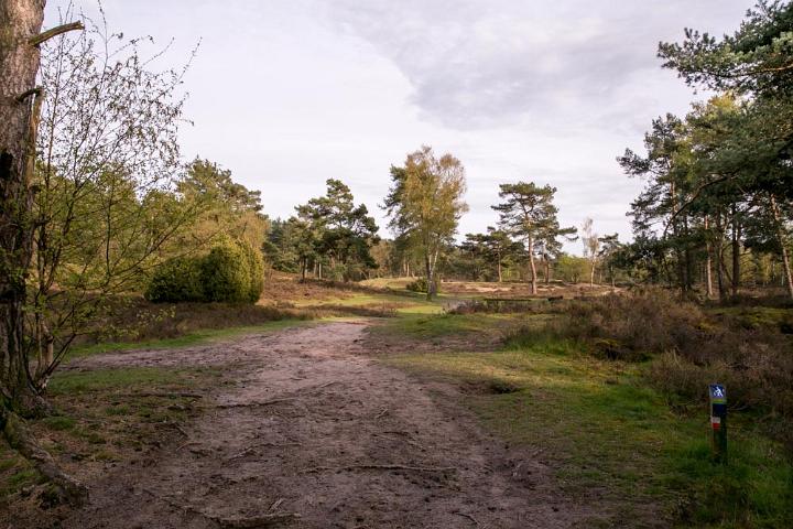 Maarn Koeheuvels 2016-31