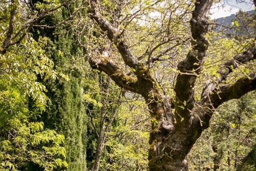 Sierra Francia 2016-3532