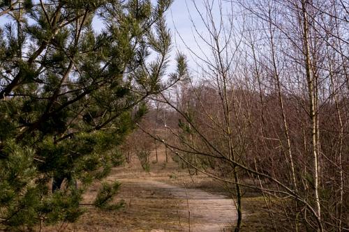 Zandafgraving Maarn 2016-41