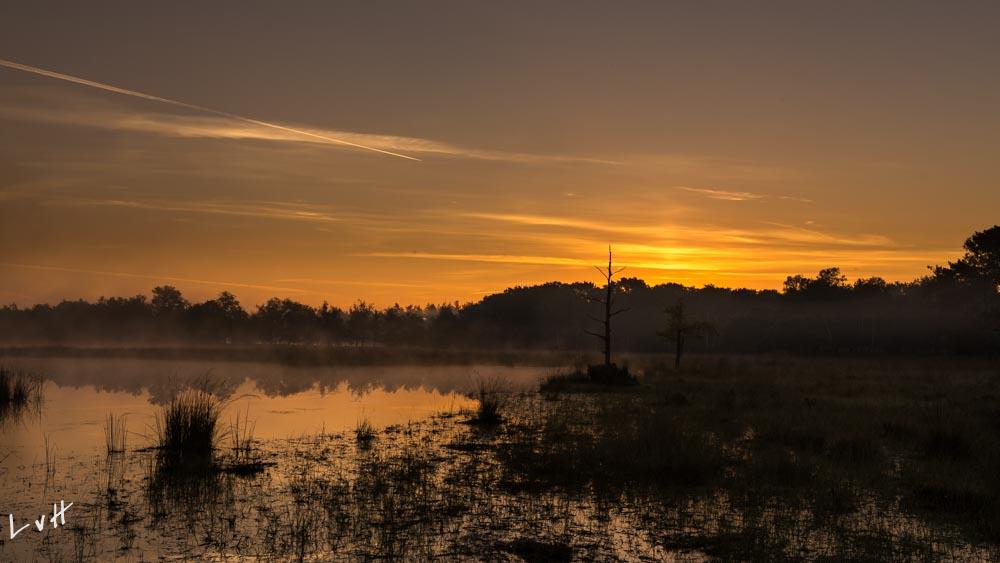 Leersumsveld 2016-27