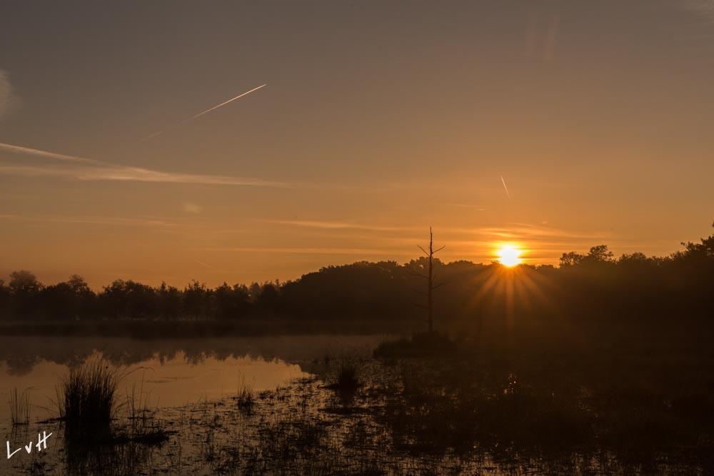 Leersumsveld 2016-46