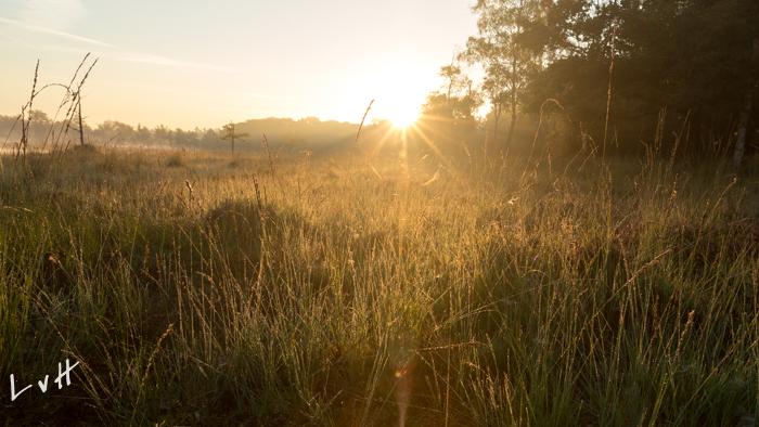 Leersumsveld 2016-58