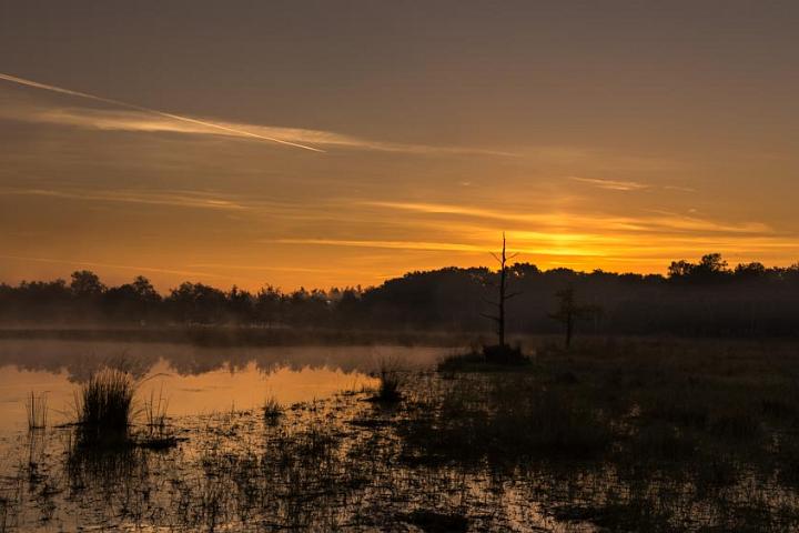 Leersumsveld 2016-27