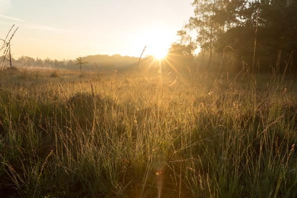Leersumsveld 2016-58