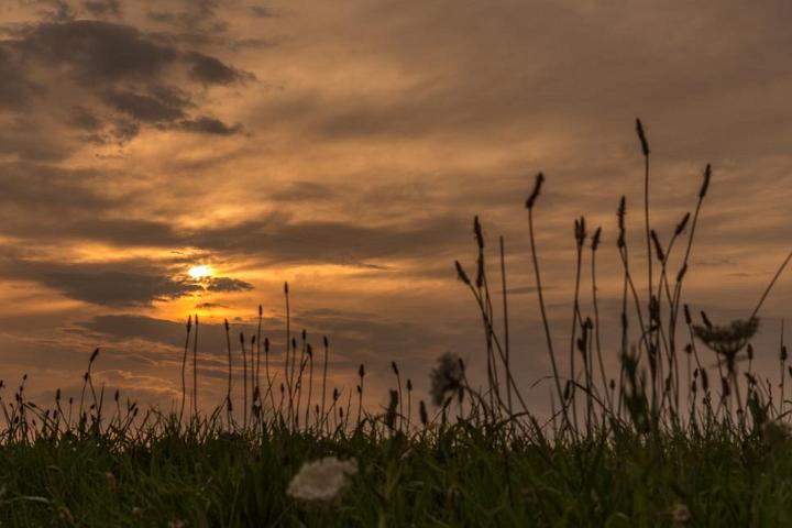 Nijkerk stoomgemaal 2017 5