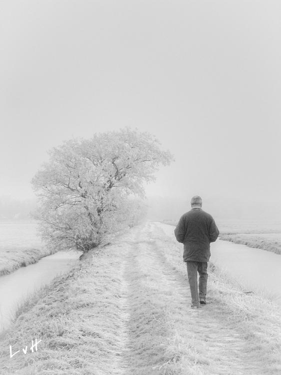 Alblasserwaard 2007  4