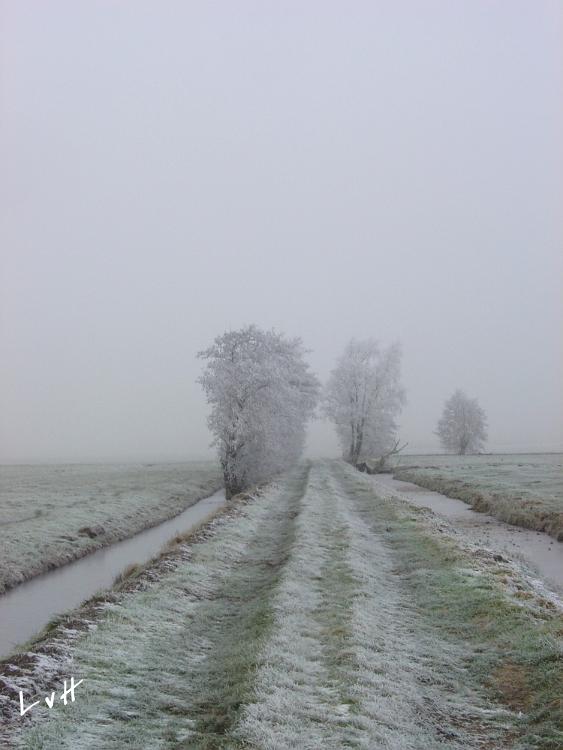 Alblasserwaard 2007 3