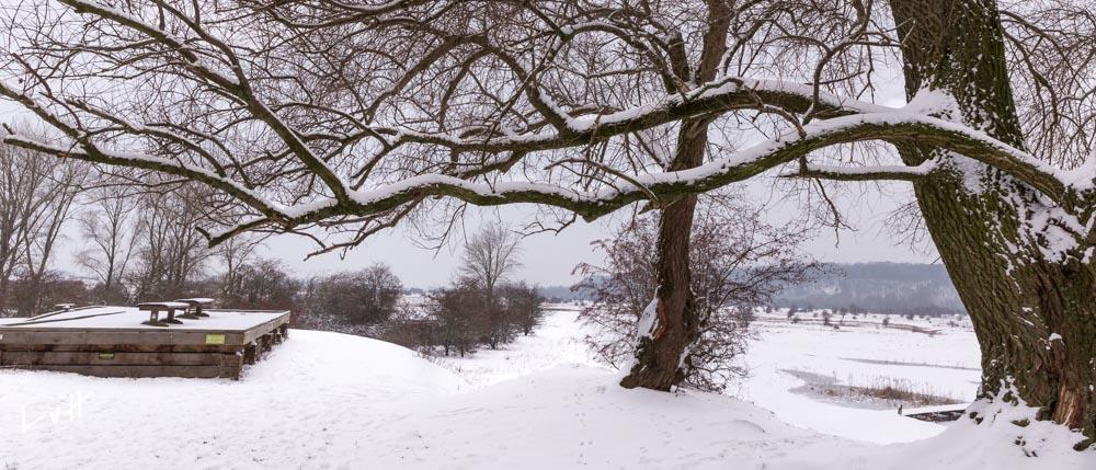 Blauwekamer winter 10